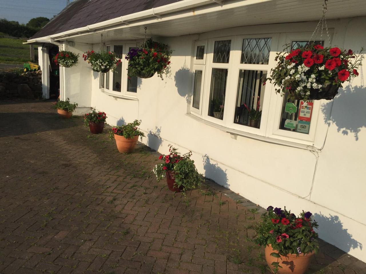 Brynawel Farm B&B Pontlliw Exterior foto